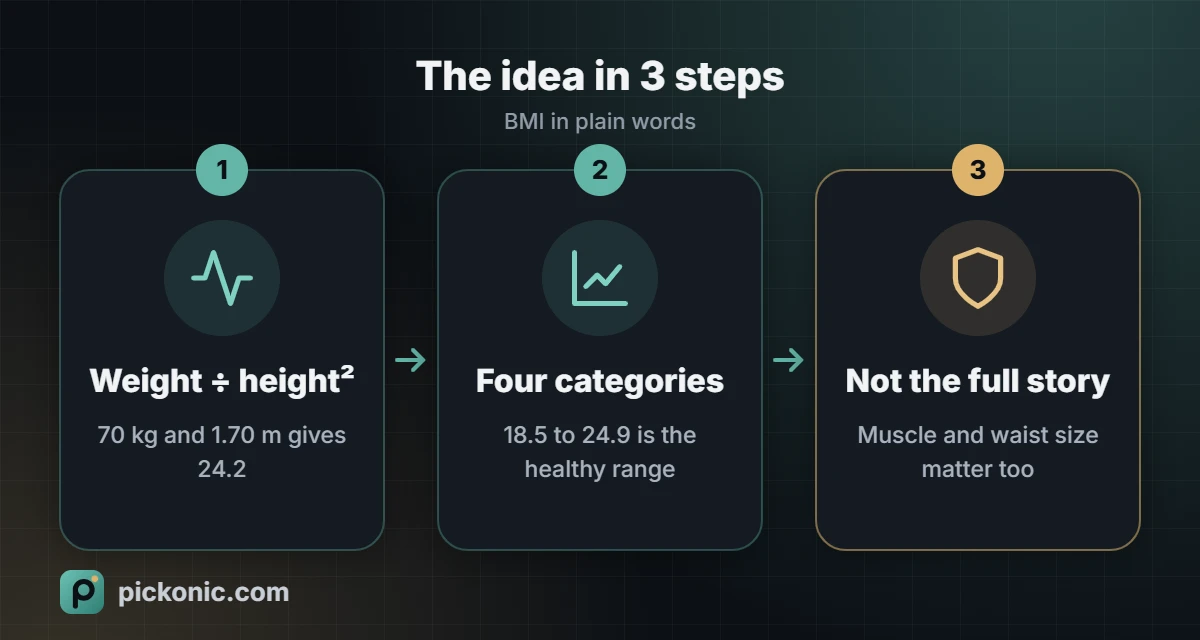 The idea in 3 steps: BMI in plain words
